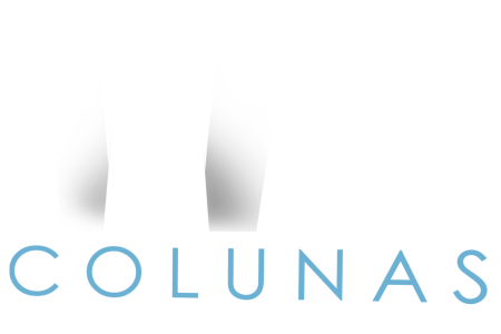 LOGO- WD COLUNAS -SEM FUNDO- azul